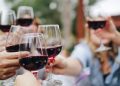 How you can Host a Wine Tasting Event