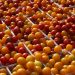 The advantages of Barrier Foods