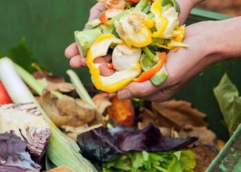 How Restaurants Can Reduce Food Spoilage