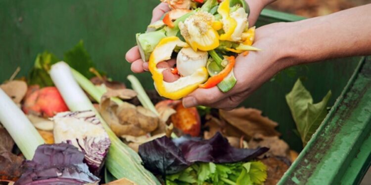 How Restaurants Can Reduce Food Spoilage