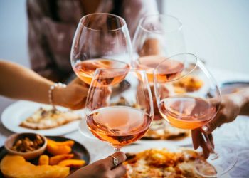 Exploring the World of Wine: A Journey for Wine Lovers